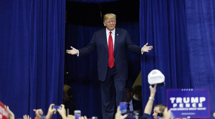 Trump lays low as voters go to polls to decide fate of Congress 