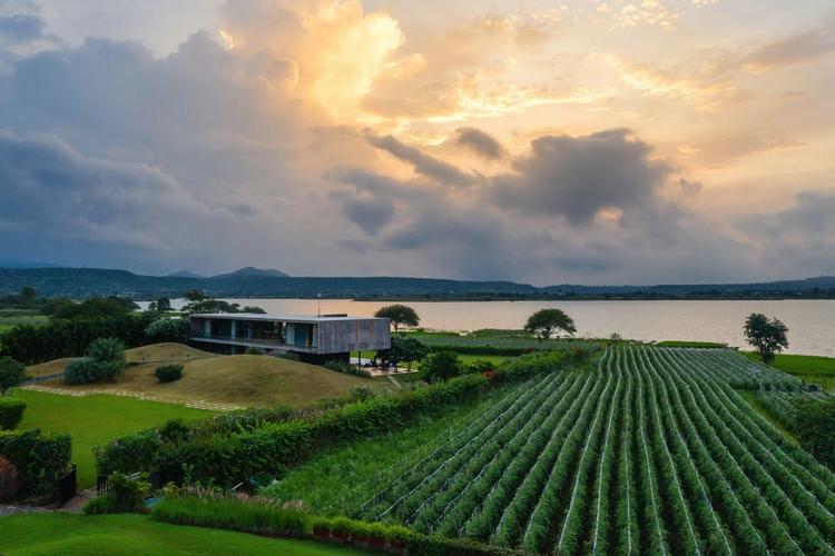 In India, wine culture takes off — with a vineyard scene that’s worth a trip