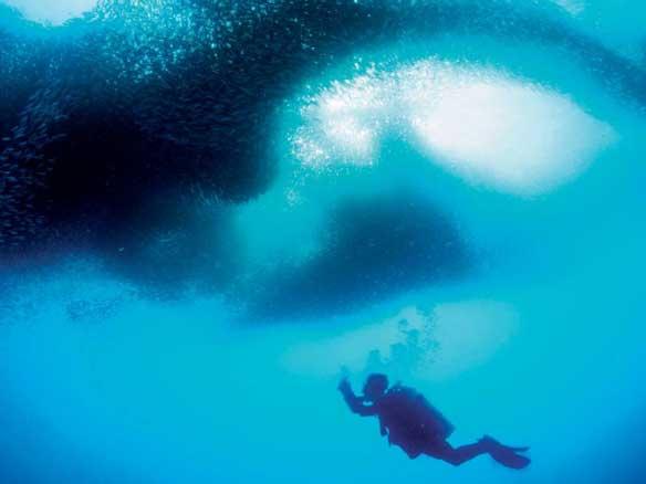 Hidden treasure of Panagsama