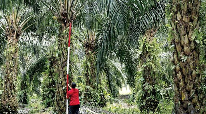 Balancing profit and motive