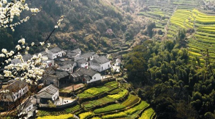 CWG losses narrow to $7.8 mil in 1H