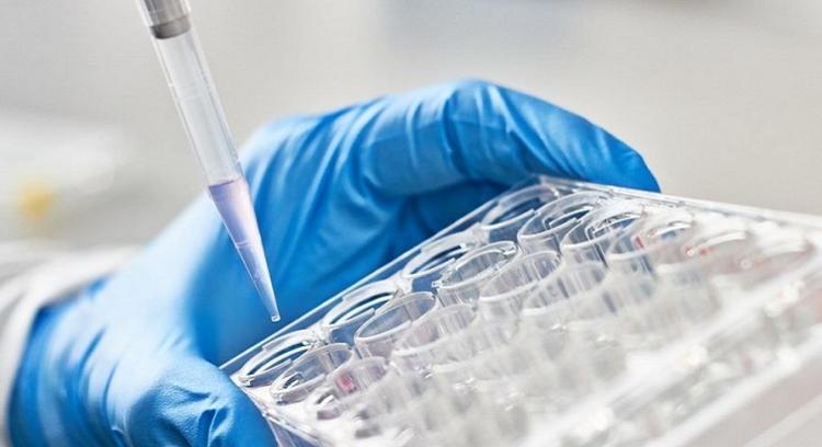 Singapore eDevelopment's related company initiates bioplastics research collaboration on developing new microbial-resistant plastics