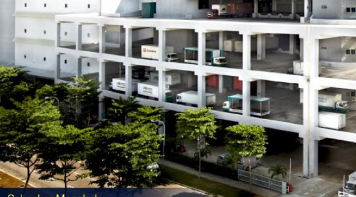 Analysts positive on CacheLog Trust amid sector headwinds