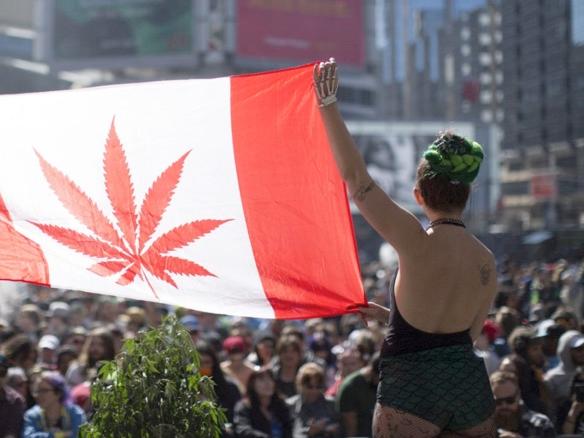 Cannabis gets a shot in the arm as Canada legalises recreational use