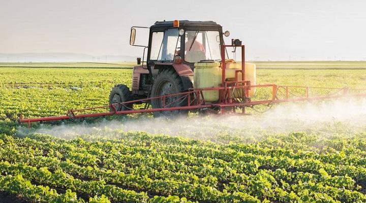 No light at the end of the tunnel for Century Sunshine