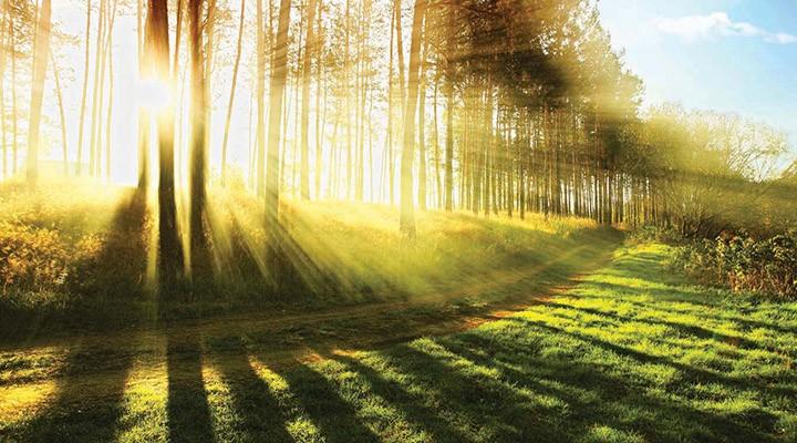 The year investors define and discover ESG