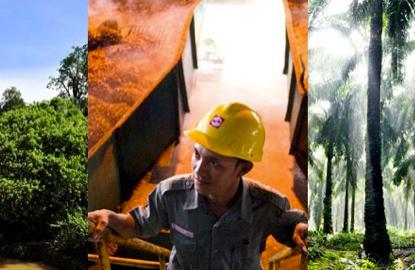 Golden Agri retains favour with analysts on 3Q results