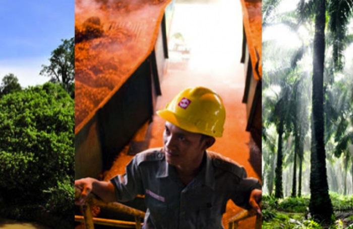 Golden Agri’s 1Q earnings fall 60.1% to $52.2 mil on higher expenses and forex loss