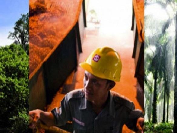 Golden Agri kept at ‘hold’ despite long-term initiatives in place