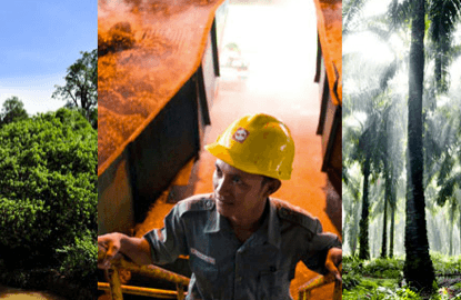 Golden Agri in recovery mode