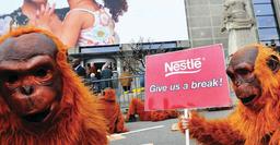 Misdirected moral outrage pushes palm oil industry into unsustainable corner