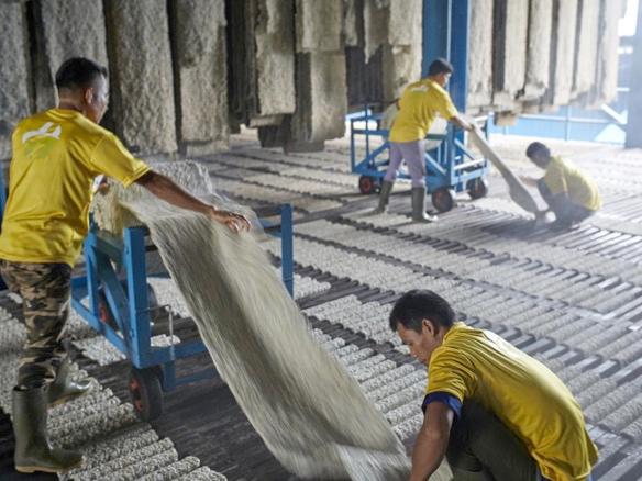 Halcyon Agri to acquire assets and entities of RCMA Group’s polymer unit for US$34 mil