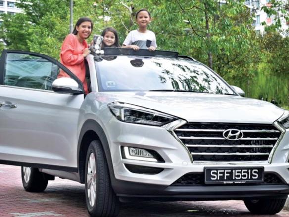 Ideal for the family