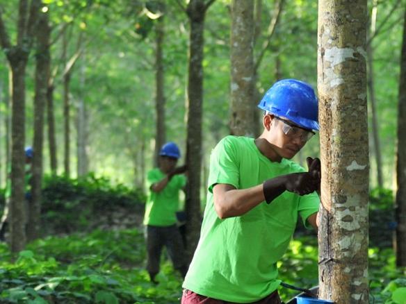 Open letter to the board of Indofood Agri Resources 