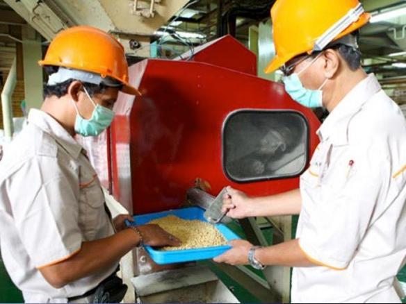 Strong regional headwinds spell trouble for Japfa’s earnings ahead