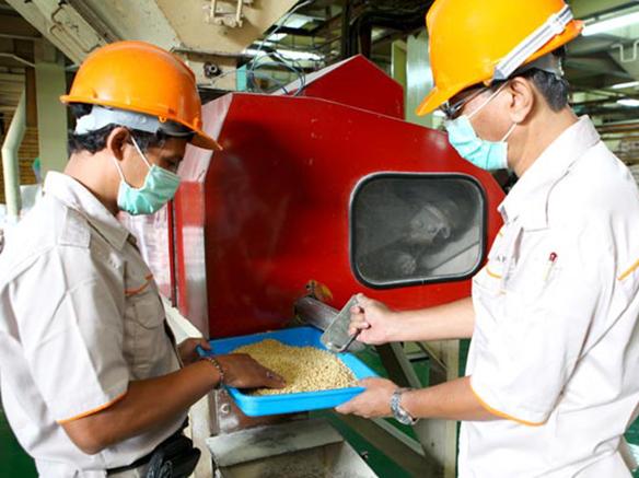 Japfa full-year earnings up 84% to US$118.8 mil