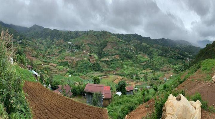 China Hongxing ditches shoes for gold and copper as it attempts RTO with MMIH