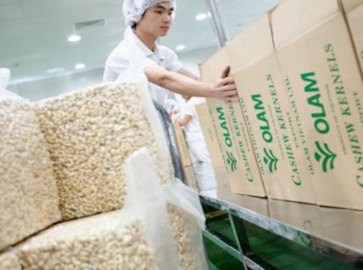 Olam International reports 28.5% rise in 2Q17 earnings to $147.7 mil