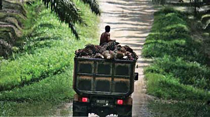 EU hits Indonesian biodiesel with import duties over subsidies