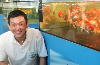 Qian Hu 1Q earnings more than treble to $36,000 on higher revenue