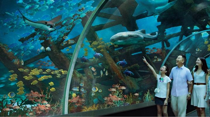 Genting Singapore sees 4Q earnings rise 12% to $150 mil on higher visitors, hotel occupancy