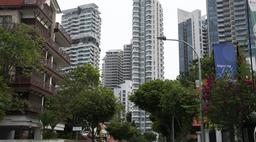Getting to the bottom of the Covid-defying property market