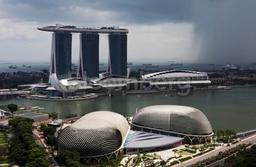 Singapore's entrepreneurial scene looks less boring with spate of megadeals