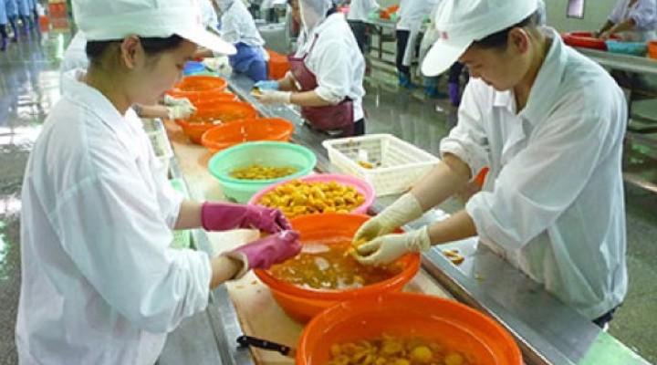 Sino Grandness to service $28.7 mil debt using dividends from China
