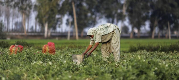 Positive economic growth for 4Q2020 seen in India; Farm Bills a significant milestone