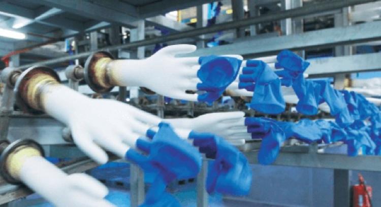 Top Glove's share price falls on factory closure news; buys back more shares