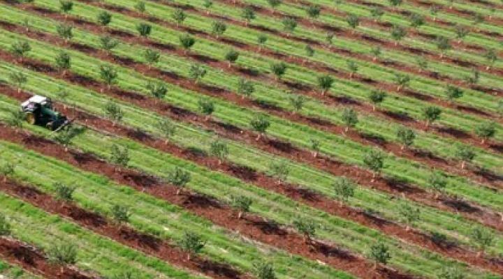 Trendlines appointed agrifood tech co-investor by Enterprise Singapore's Seeds Capital