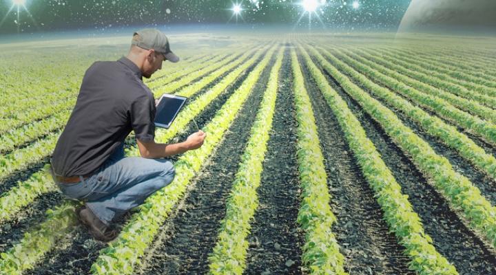 Trendlines sees heavy trading after defending 19.3% premium in rights issue price