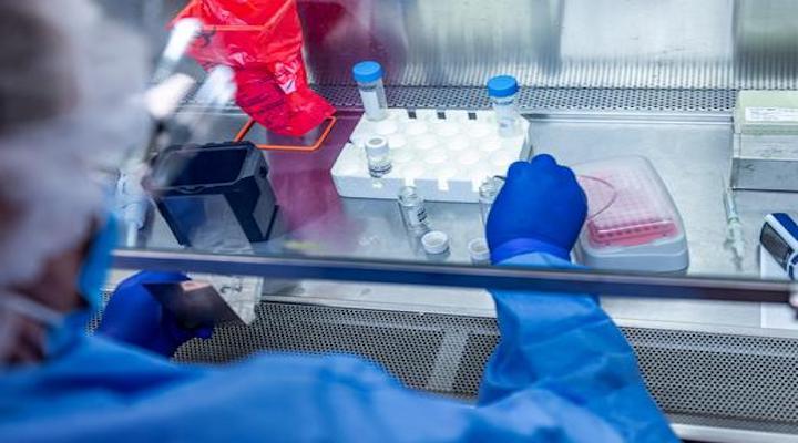 Is a viable Covid-19 vaccine imminent? 