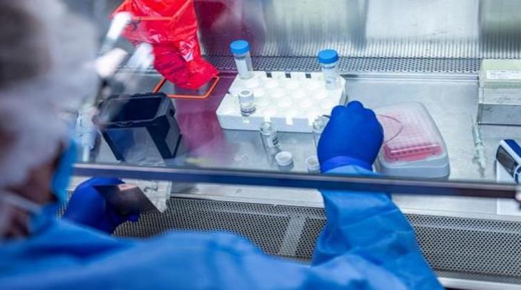 Small is better for vaccine shares