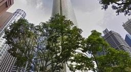 Perennial poised to thrive on divestment of AXA Tower despite bleak economic outlook: DBS