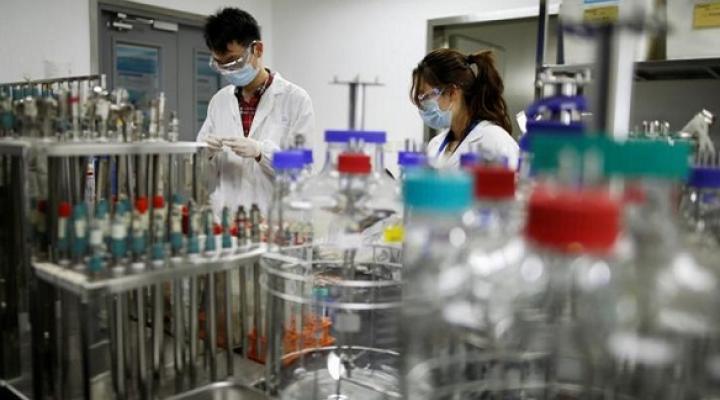 Outlook remains promising for Megachem even as margins face risks: NRA 