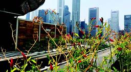 Growing constraints