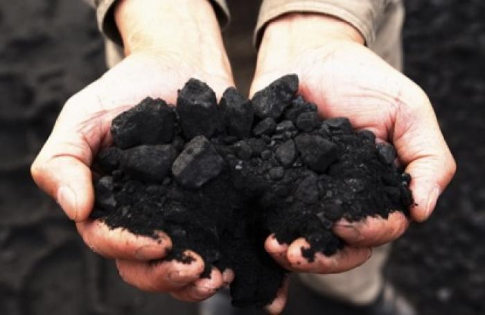 Golden Energy and Resources 1Q earnings increase over 11-fold to $26.5 mil on revenue surge