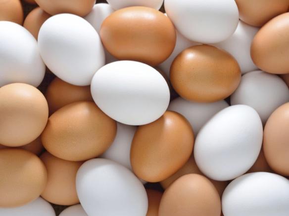 Acromec diversifying into renewable energy sector; signs LOI to build of WTE plant for Chew's Agriculture