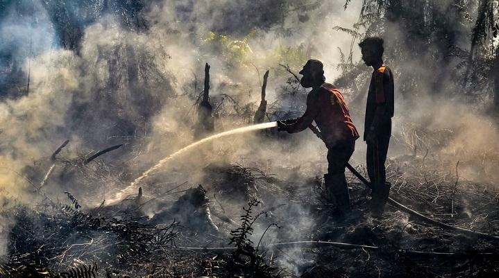Southeast Asia braces for haze as forest fires keep burning 
