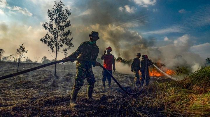 Haze threat looms over Singapore as Indonesia forest fires rage