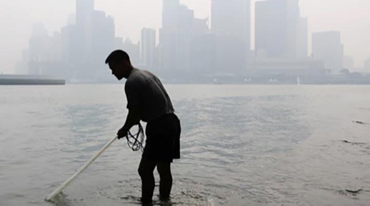 Hazy skies have little impact on healthcare providers, says CGS-CIMB