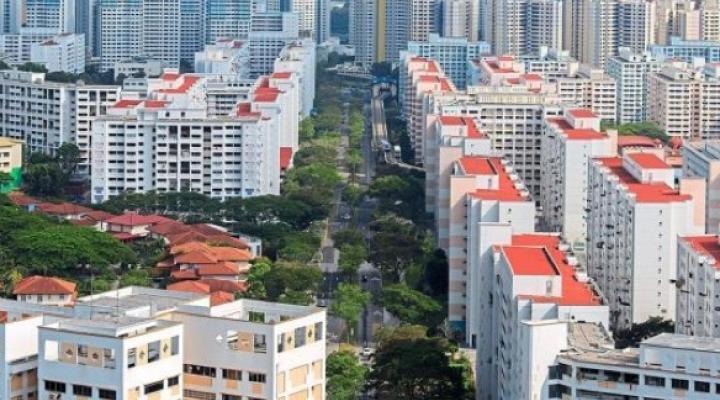 ISOTeam swings back into the black in 4Q19 on higher sales