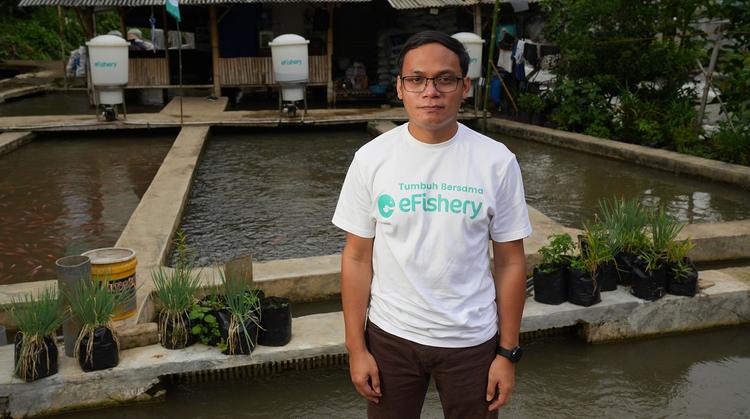 eFishery was a valuation scandal, not accounting fraud