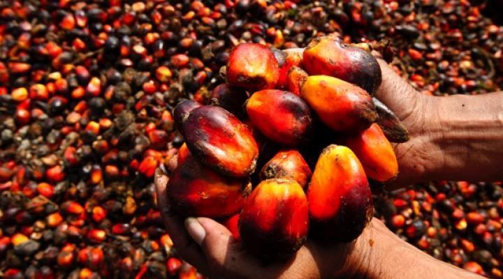 Mewah International's 1H earnings surge to US$27.8 mil on higher margins