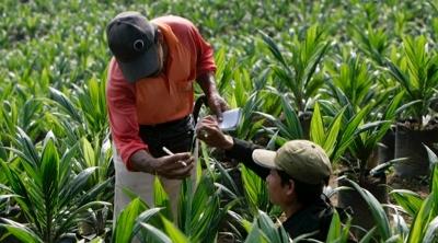 Advanced Holdings disposes entire stake in ZMK Technologies for $2.1 mil