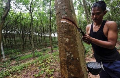 Sri Trang Agro-Industry swings to 3Q loss of $3.6 mil