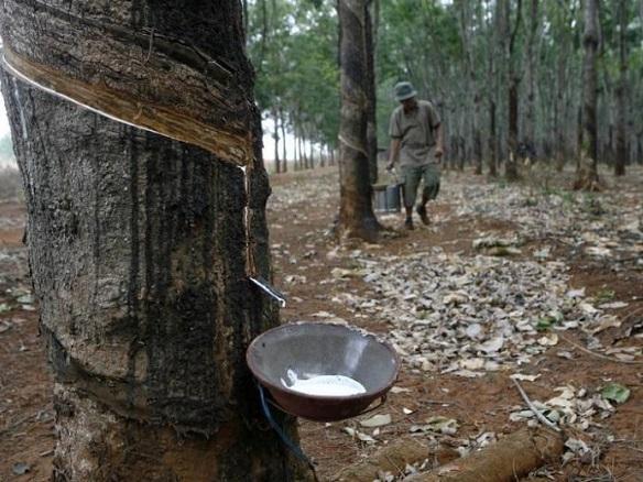 Sri Trang swings back to profitability; posts 3Q earnings of $6.8 mil