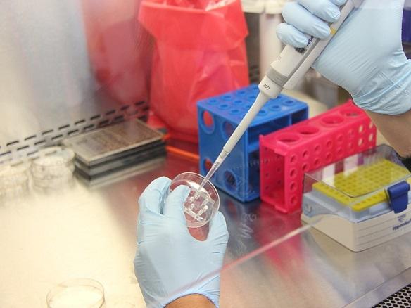 CDW Holding to acquire 95% indirect stake in Japanese R&D firm 