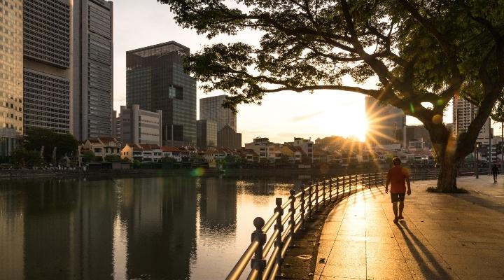 Lockdowns in SEA may lead to wave of dengue fever